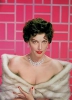 photo Ava Gardner