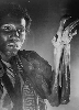 photo Mel Johnson Jr.