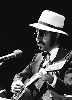 photo Leon Redbone (voice)