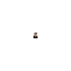 photo Nolan Gerard Funk