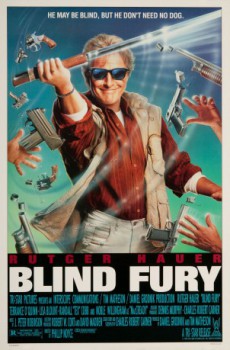 cover Blind Fury