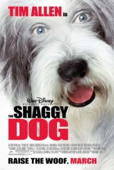 poster Shaggy Dog