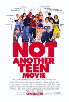 cover Not Another Teen Movie
