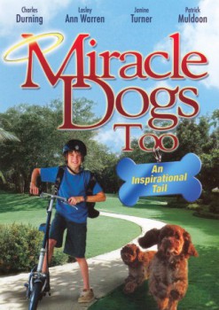 poster Miracle Dogs Too