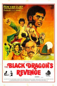 poster Black Dragon's Revenge