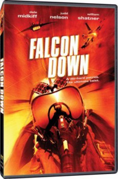 poster Falcon Down