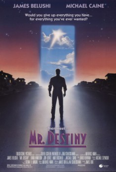 poster Mr. Destiny