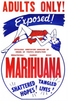 cover Marihuana