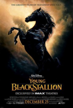 poster Young Black Stallion, The