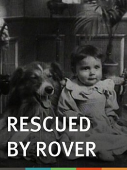 cover Rescued by Rover