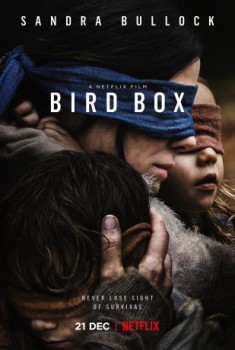 cover Bird Box