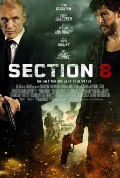 poster Section 8