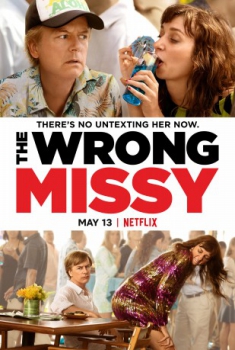 poster The Wrong Missy